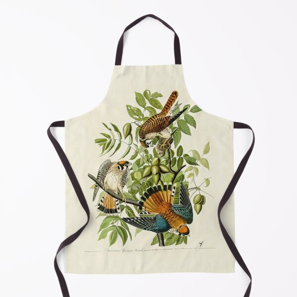 Item preview, Plate 142 American Sparrow Hawk - John James Audubon Art Prints designed and sold by TheSoulOfArt.