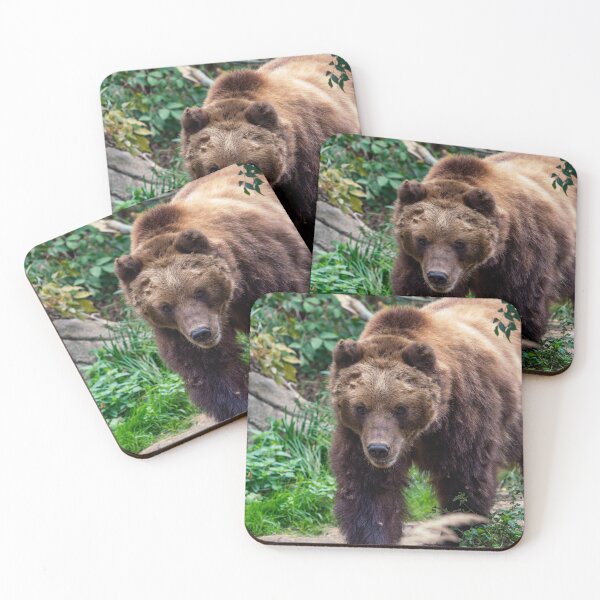 Item preview, Kamchatka brown bear in the forest designed and sold by LubosChlubny.