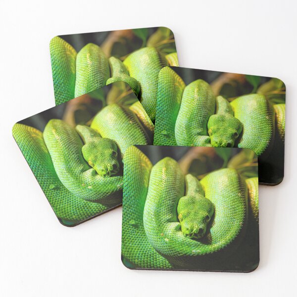 Item preview, Green tree python close-up.  designed and sold by LubosChlubny.