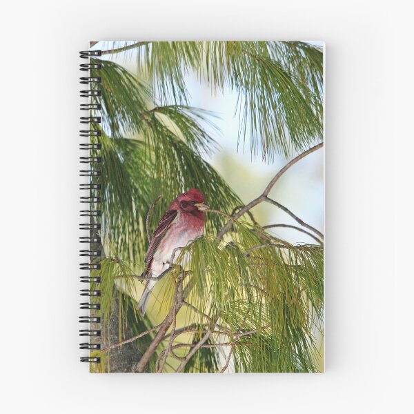 Item preview, Rosefinch designed and sold by Debbie Oppermann.