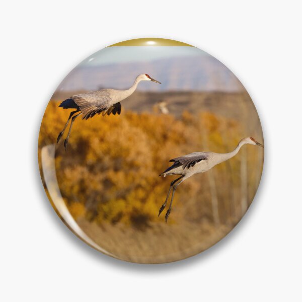 Item preview, Sandhill Arrivals designed and sold by Ken McElroy.