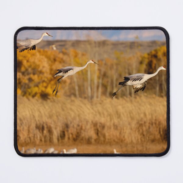 Item preview, Sandhill Arrivals designed and sold by Ken McElroy.