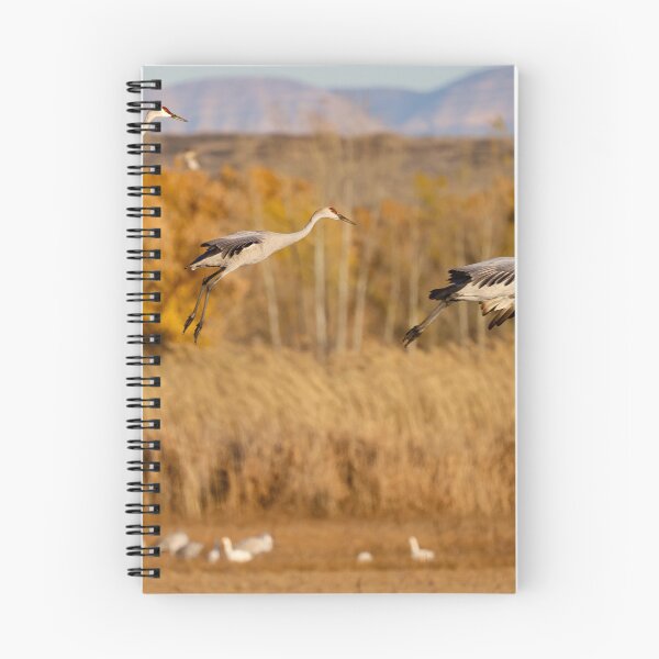 Item preview, Sandhill Arrivals designed and sold by Ken McElroy.