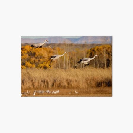 Item preview, Sandhill Arrivals designed and sold by Ken McElroy.