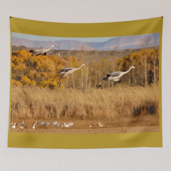Item preview, Sandhill Arrivals designed and sold by Ken McElroy.