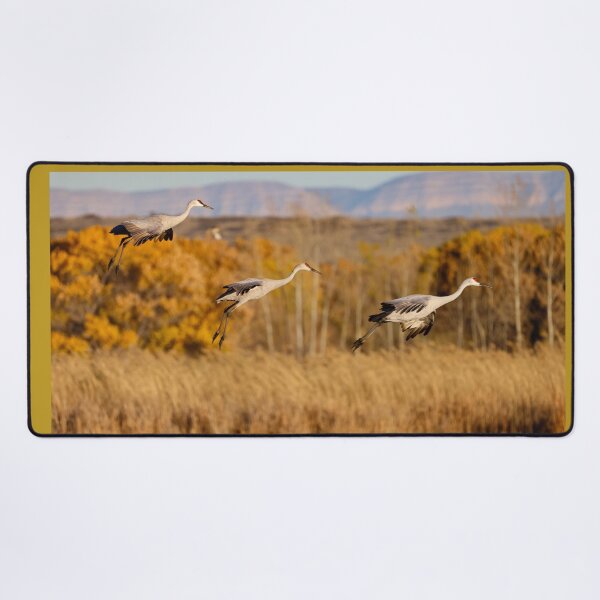 Item preview, Sandhill Arrivals designed and sold by Ken McElroy.