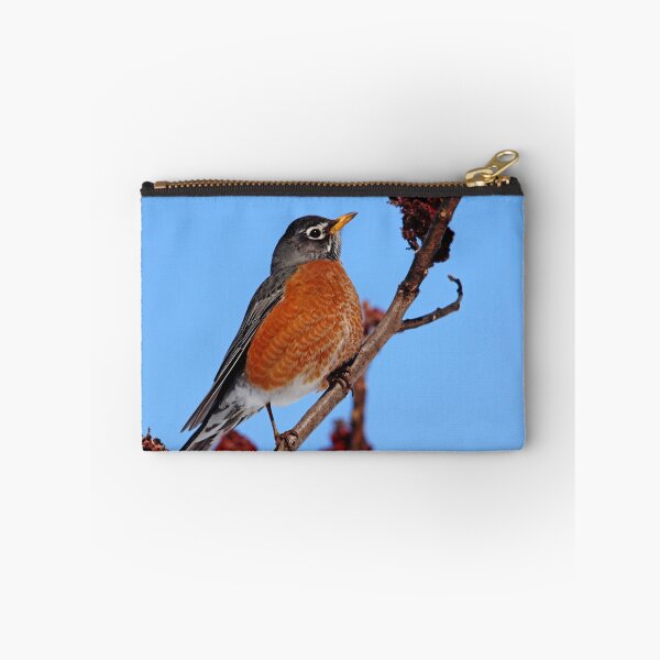 Item preview, Robin Red Breast designed and sold by Debbie Oppermann.