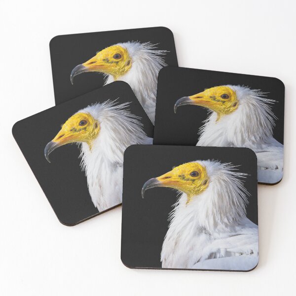 Item preview, View of a egyptian vulture  designed and sold by LubosChlubny.
