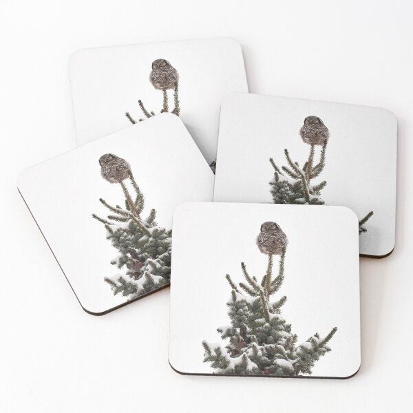 Item preview, Backwards. Northern hawk-owl designed and sold by Jouko Lehto Photography.