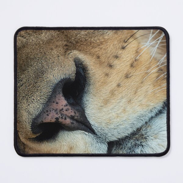 Item preview, A close-up view of the lion's snout.  designed and sold by LubosChlubny.