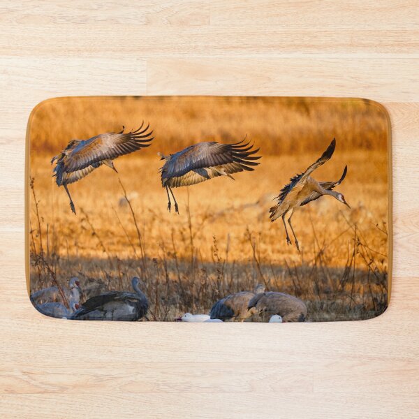Item preview, Sandhills: Final Approach designed and sold by Ken McElroy.