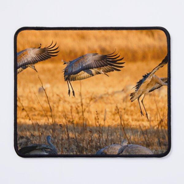 Item preview, Sandhills: Final Approach designed and sold by Ken McElroy.