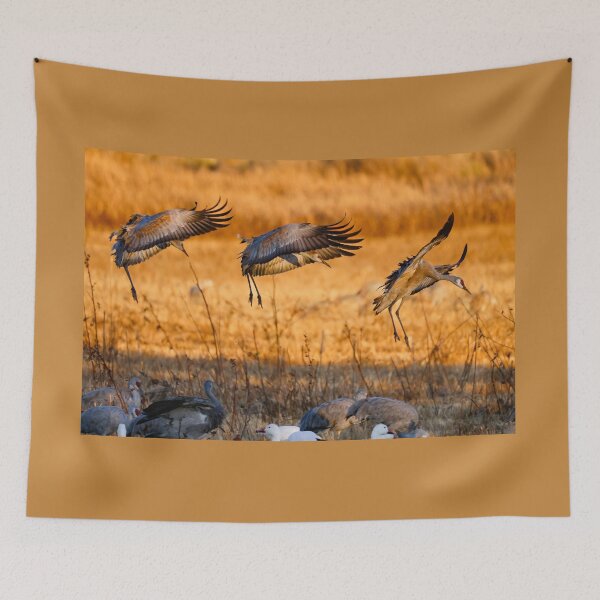 Item preview, Sandhills: Final Approach designed and sold by Ken McElroy.