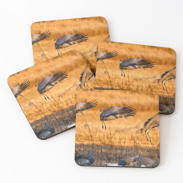 Item preview, Sandhills: Final Approach designed and sold by Ken McElroy.