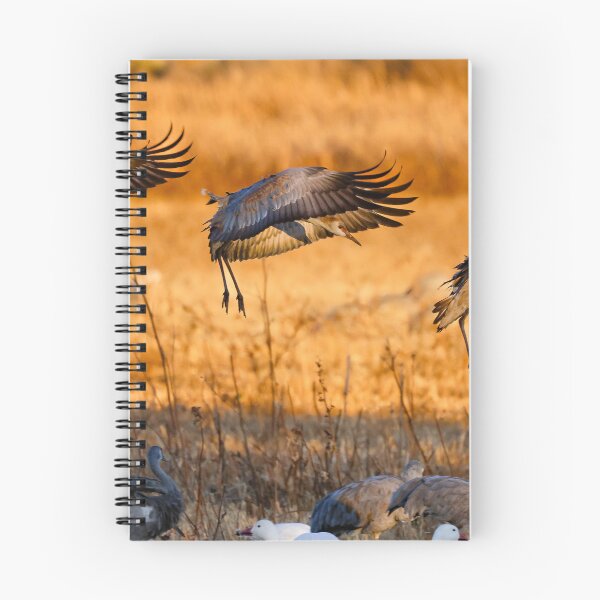 Item preview, Sandhills: Final Approach designed and sold by Ken McElroy.