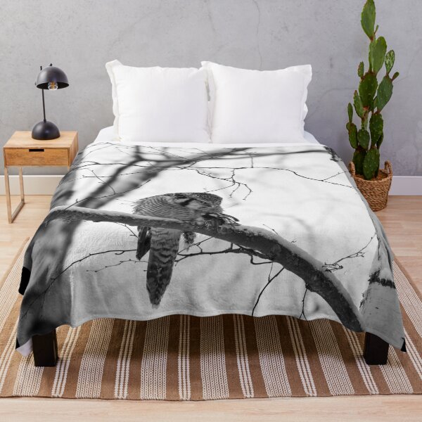 Item preview, The great tit catch. Northern hawk-owl bw designed and sold by Jouko Lehto Photography.