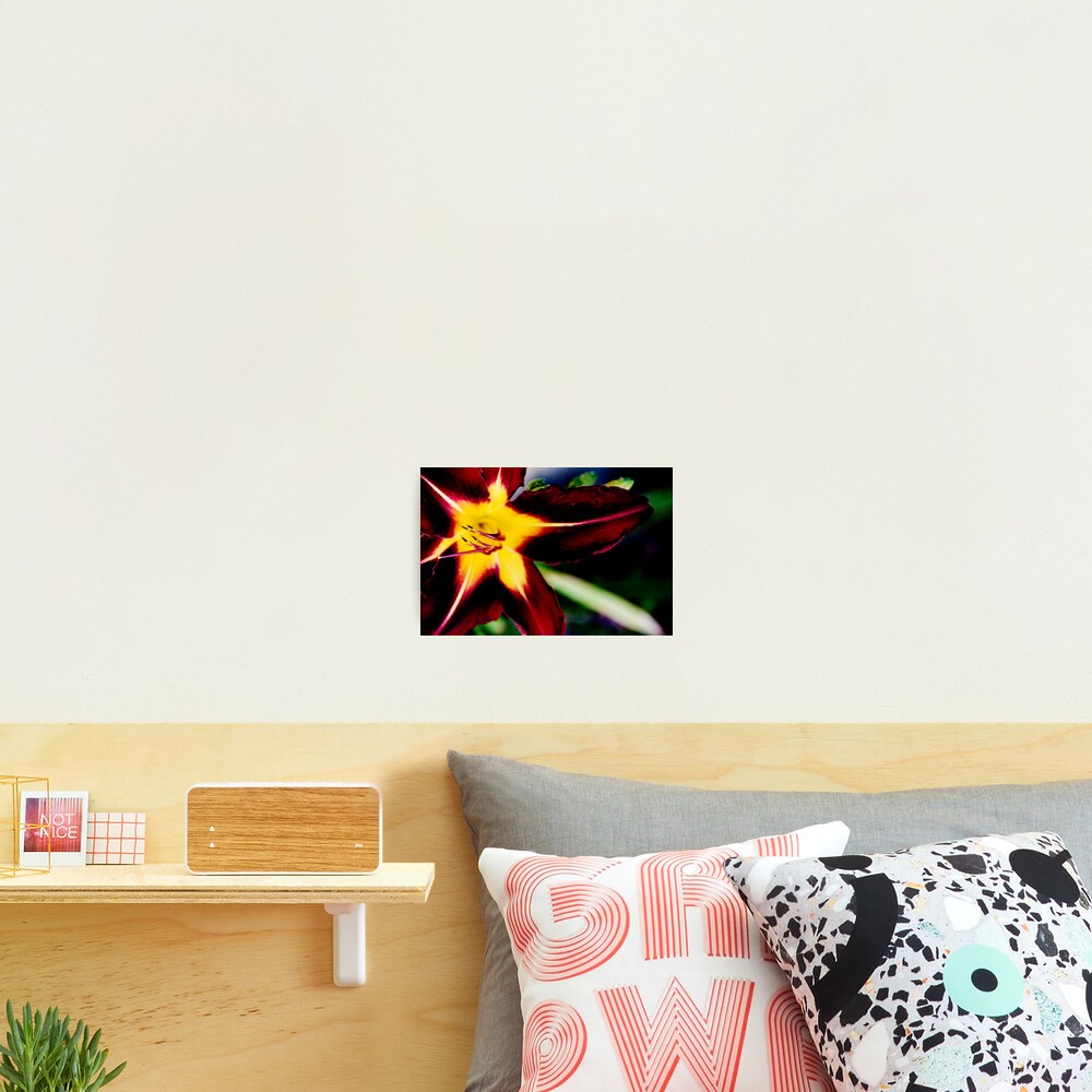Item preview, Photographic Print designed and sold by Jinx.
