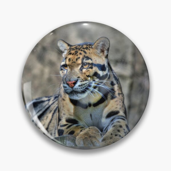 Item preview, Cluded Leopard  designed and sold by Savannah Gibbs.