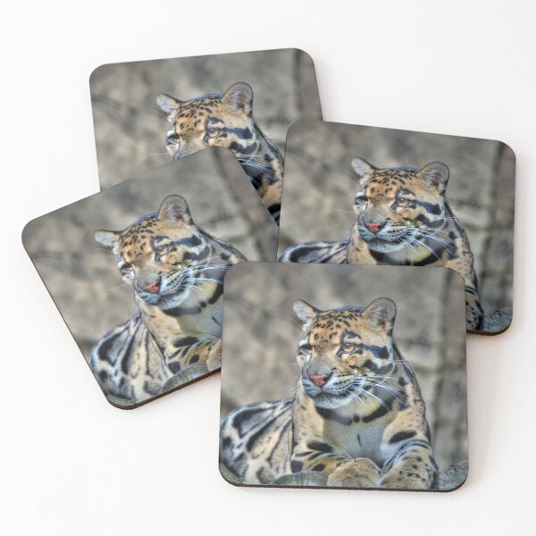 Item preview, Cluded Leopard  designed and sold by Savannah Gibbs.