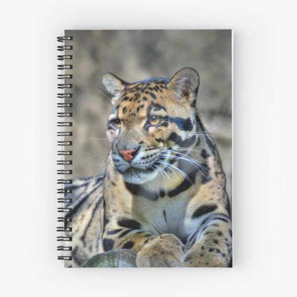 Item preview, Cluded Leopard  designed and sold by Savannah Gibbs.