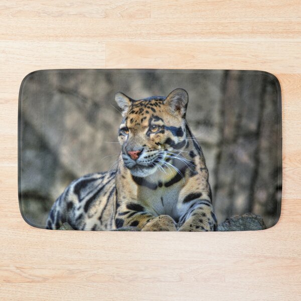 Item preview, Cluded Leopard  designed and sold by Savannah Gibbs.