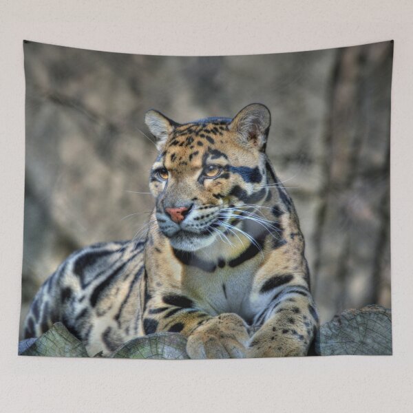 Item preview, Cluded Leopard  designed and sold by Savannah Gibbs.