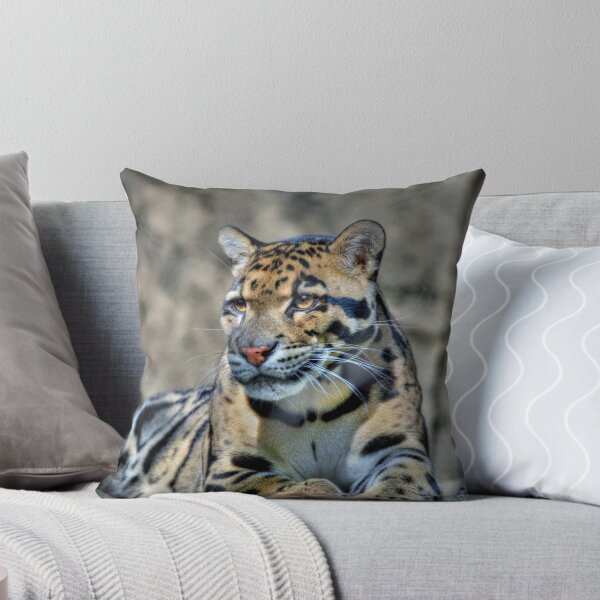Item preview, Cluded Leopard  designed and sold by Savannah Gibbs.