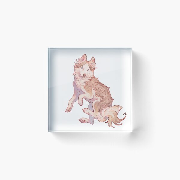 Item preview, Calliope the pomsky designed and sold by Giulialibard.