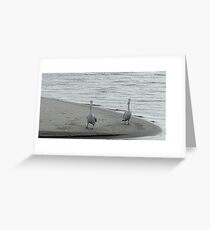 Waters edge Greeting Card