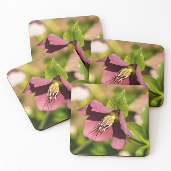 Item preview, The Lenton Rose designed and sold by Tanya C  Smith.