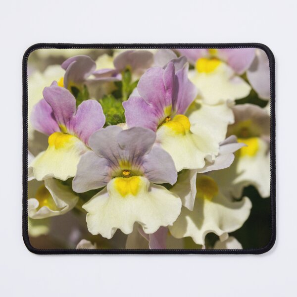Item preview, Nemesia Flowers In Spring designed and sold by Tanya C Smith.