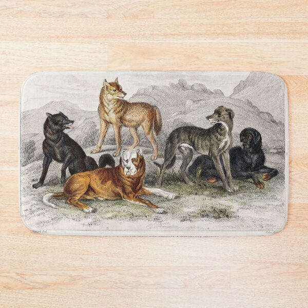 Item preview, A History of the Earth and Animated Nature - Oliver Goldsmith designed and sold by Signal Fire.