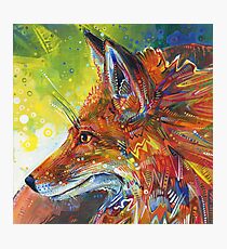 Red fox painting - 2012 Photographic Print