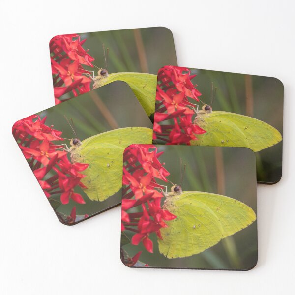 Item preview, Cloudless Sulphur Butterfly designed and sold by Wes Goorachan.