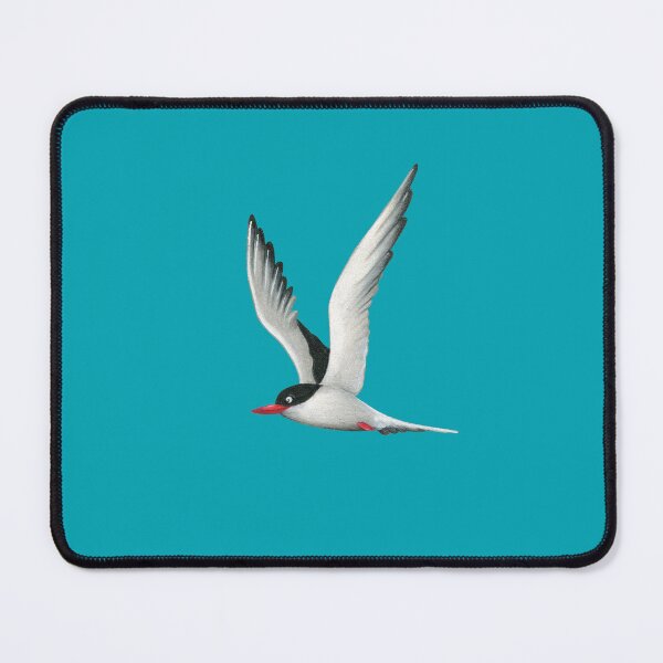 Item preview, arctic tern designed and sold by Corinna Arauner.