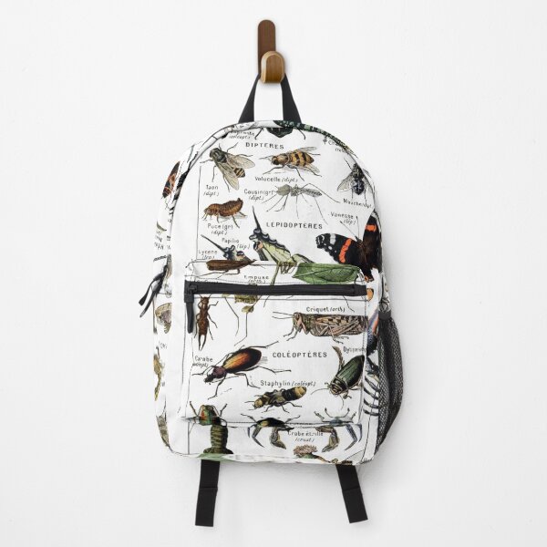 Item preview, Arthropodes by Adolphe Millot designed and sold by redoARTstore.