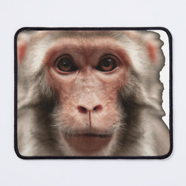 Item preview, Serious monkey designed and sold by Perryfranken.
