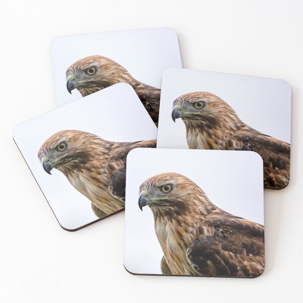 Item preview, Red Tailed Hawk Stare Down designed and sold by jecphotography and art.