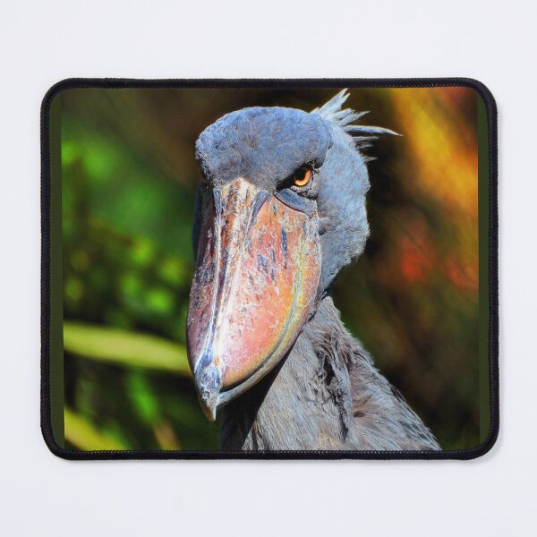 Item preview, Shoebill  designed and sold by Savannah Gibbs.