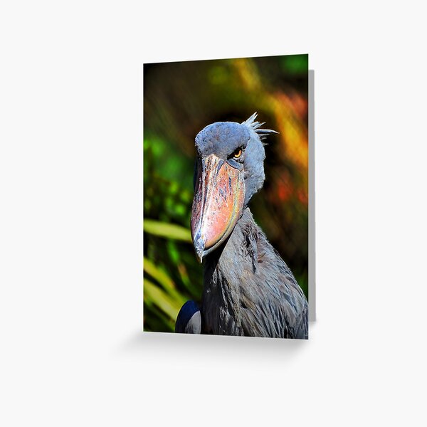 Item preview, Shoebill  designed and sold by Savannah Gibbs.