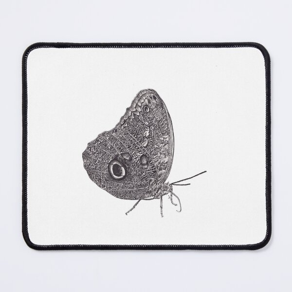 Item preview, Scientific illustration of a butterfly  designed and sold by Millie Oldham.