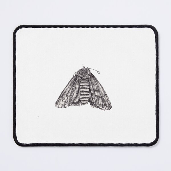 Item preview, Scientific illustration of a moth  designed and sold by Millie Oldham.