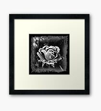 Gallery Of The Lost 8 Framed Print