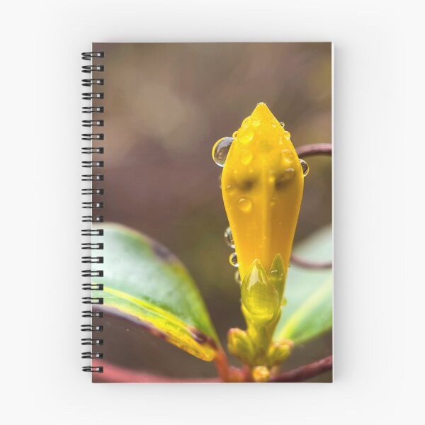 Item preview, Striking Subtlety  designed and sold by Jason Tompkins.