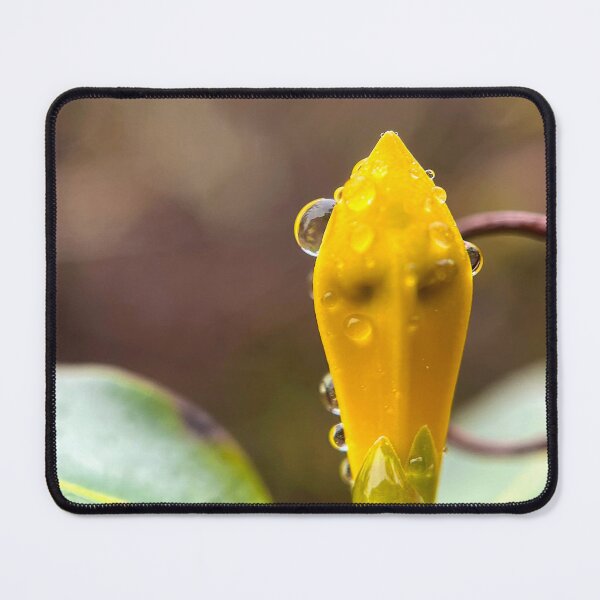 Item preview, Striking Subtlety  designed and sold by Jason Tompkins.