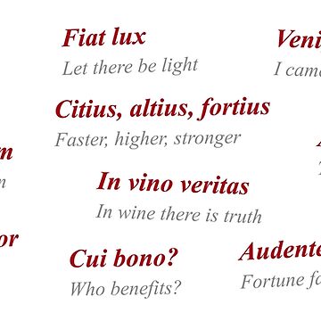 Artwork thumbnail, Latin Phrases Study Mug by ApplicVision