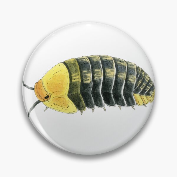 Item preview, Cubaris sp. "Rubber Ducky" 2 designed and sold by paintedpansy.