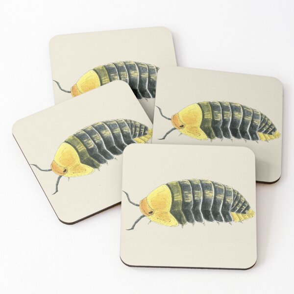 Item preview, Cubaris sp. "Rubber Ducky" 2 designed and sold by paintedpansy.
