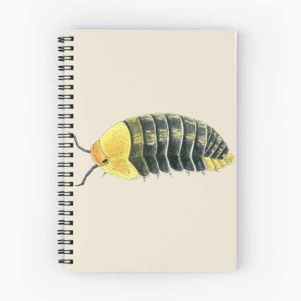 Item preview, Cubaris sp. "Rubber Ducky" 2 designed and sold by paintedpansy.
