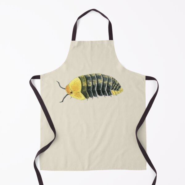 Item preview, Cubaris sp. "Rubber Ducky" 2 designed and sold by paintedpansy.